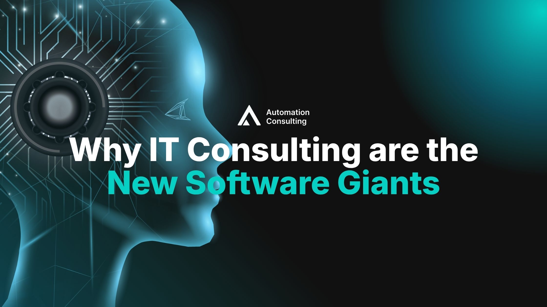 Why IT Consulting are the New Software Giants - Automation Consulting